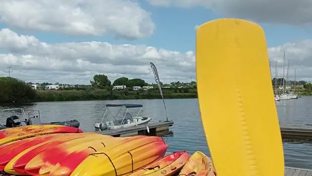 kayaks