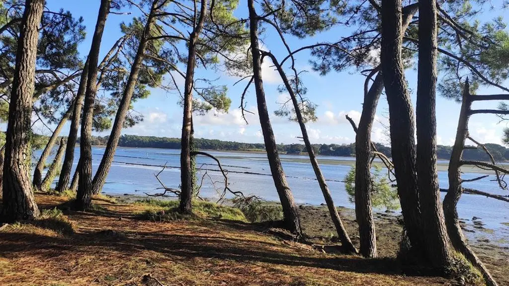 La Cabane de Cadoudal - Huîtres Damerose - LOCOAL MENDON - MORBIHAN  - Bretagne Sud