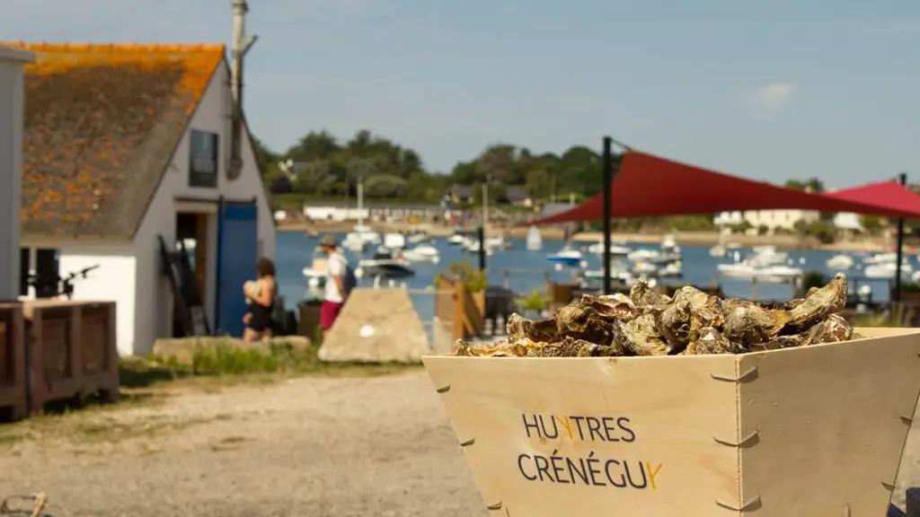 Chez-Lucien-Ets-Crénéguy-Larmor Baden-Golfe-du-Morbihan-Bretagne sud