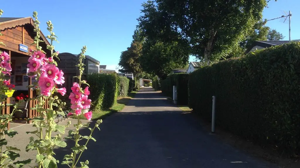 Camping arboré en bord de mer