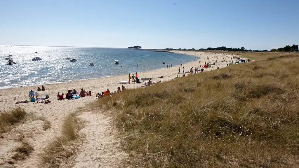 plage-camping-Falaise-locmariaquer-morbihan-bretagne-sud