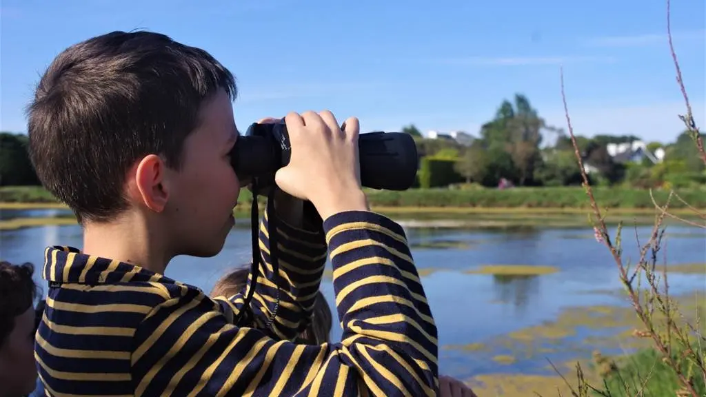 Recreatiloups morbihan