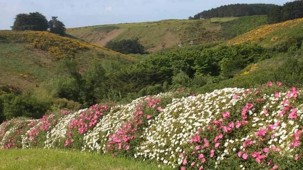 Jardin de la Boulaye