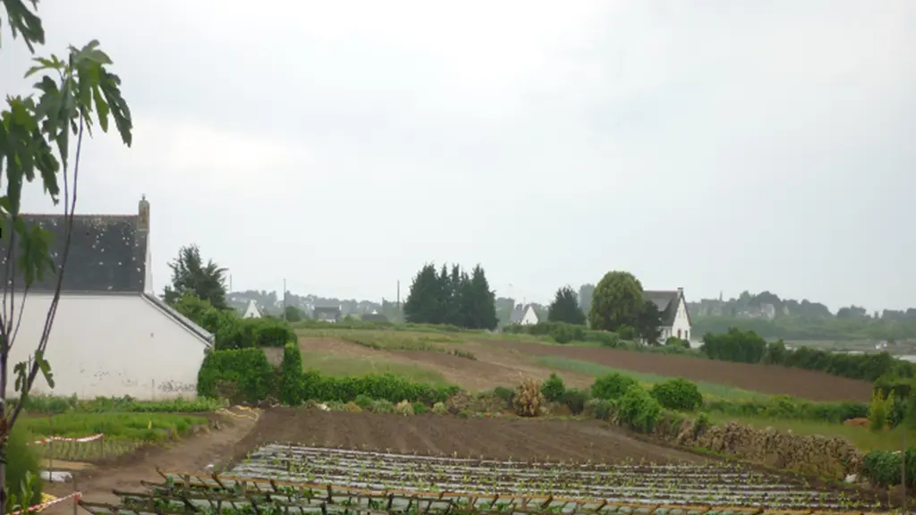 petit-potager-carnac