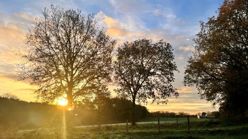 Gîte - Ker Zélia - Cruguel - Destination - Brocéliande