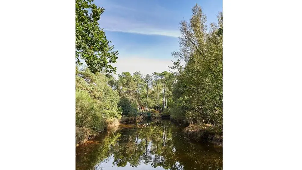 Parc-de-la-Mare-au-Poivre-Locqueltas-Golfe-du-Morbihan-Bretagne sud