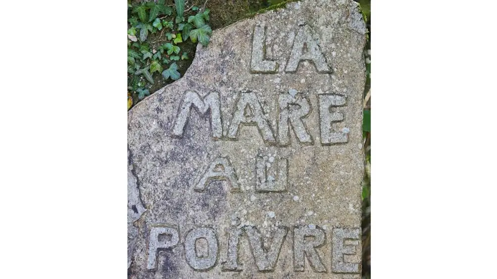 Parc-de-la-Mare-au-Poivre-Locqueltas-Golfe-du-Morbihan-Bretagne sud