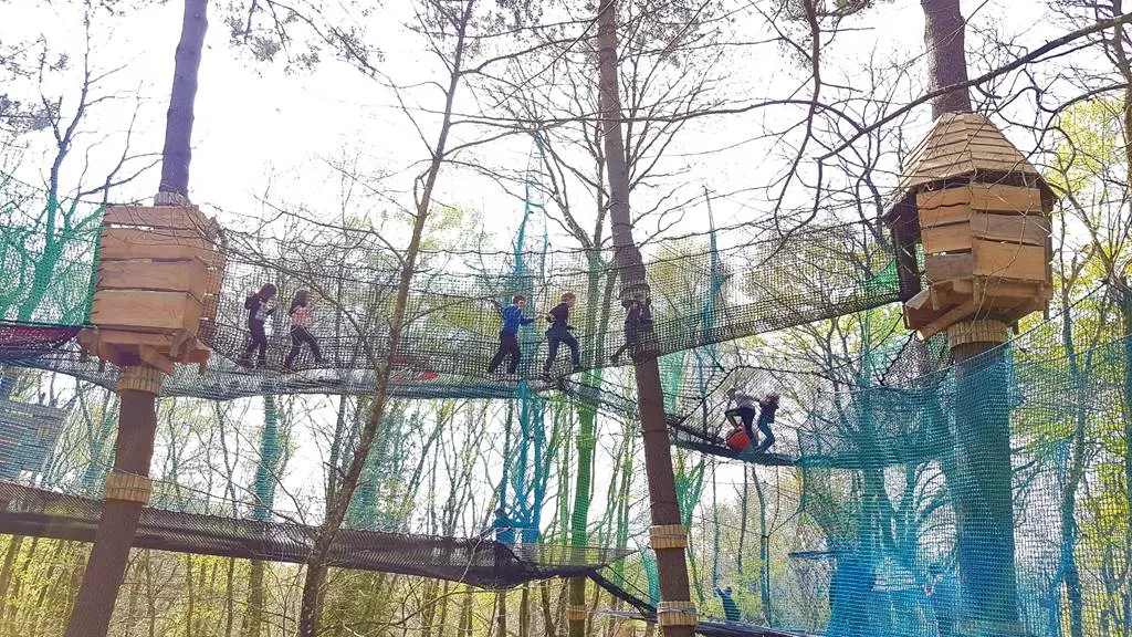 land aux lutins un labyrinthe dans les arbres