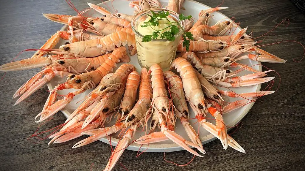 langoustines