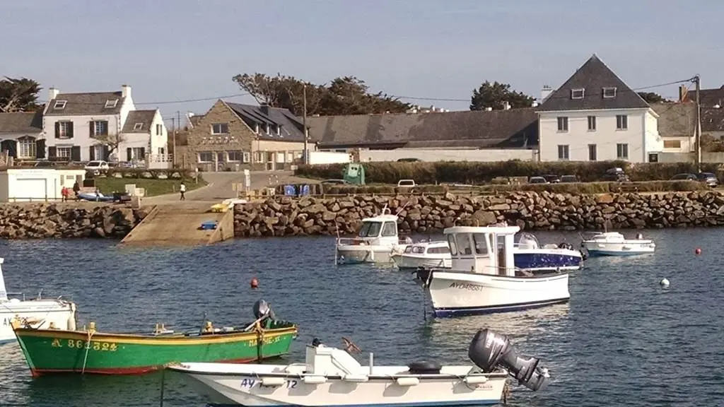 lechat odette - st pierre quiberon, morbihan, bretagne sud