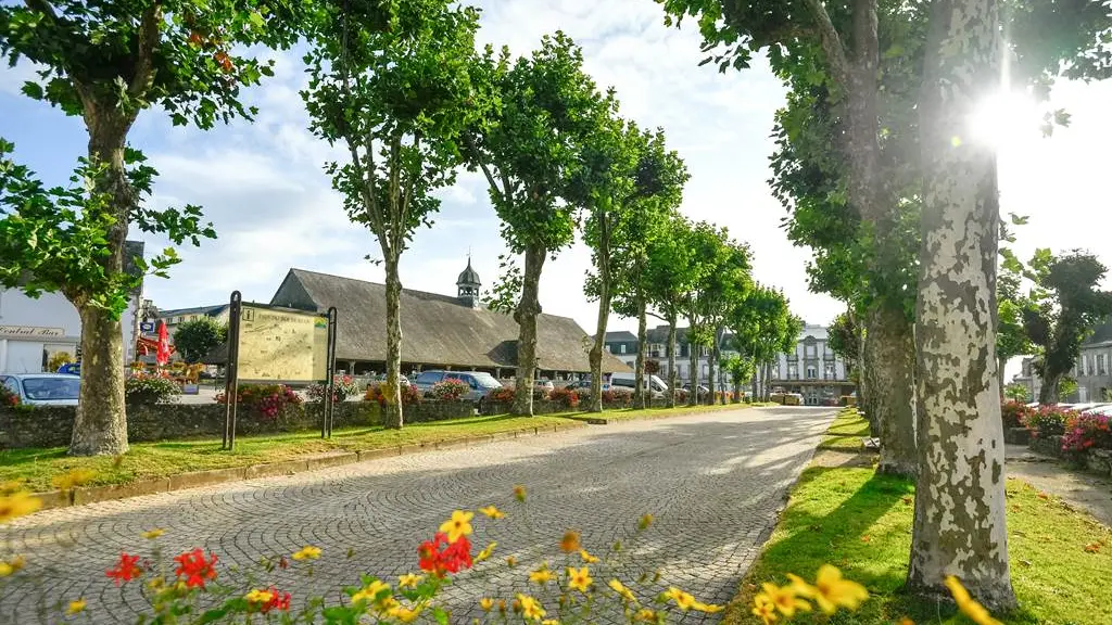 Halles-Le-Faouet-pays-du-roi-Morvan-Morbihan-Bretagne-Sud