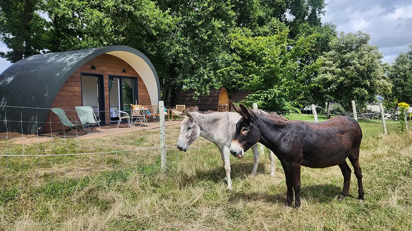 les-hauts-de-toulvern-anes-ecolodge-1333px-1000px-min