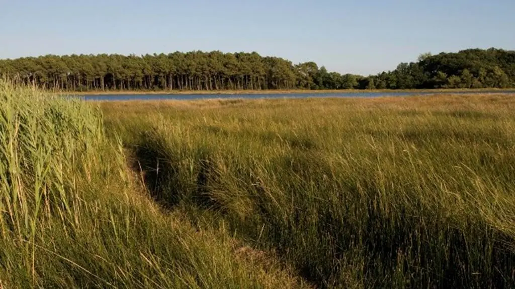 Forêt et Pointe du listoir - Landévant - Morbihan Bretagne Sud