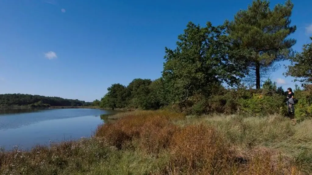 Forêt et Pointe du listoir - Landévant - Morbihan Bretagne Sud