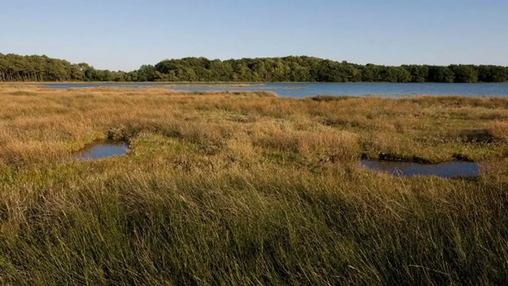 Forêt et Pointe du listoir - Landévant - Morbihan Bretagne Sud