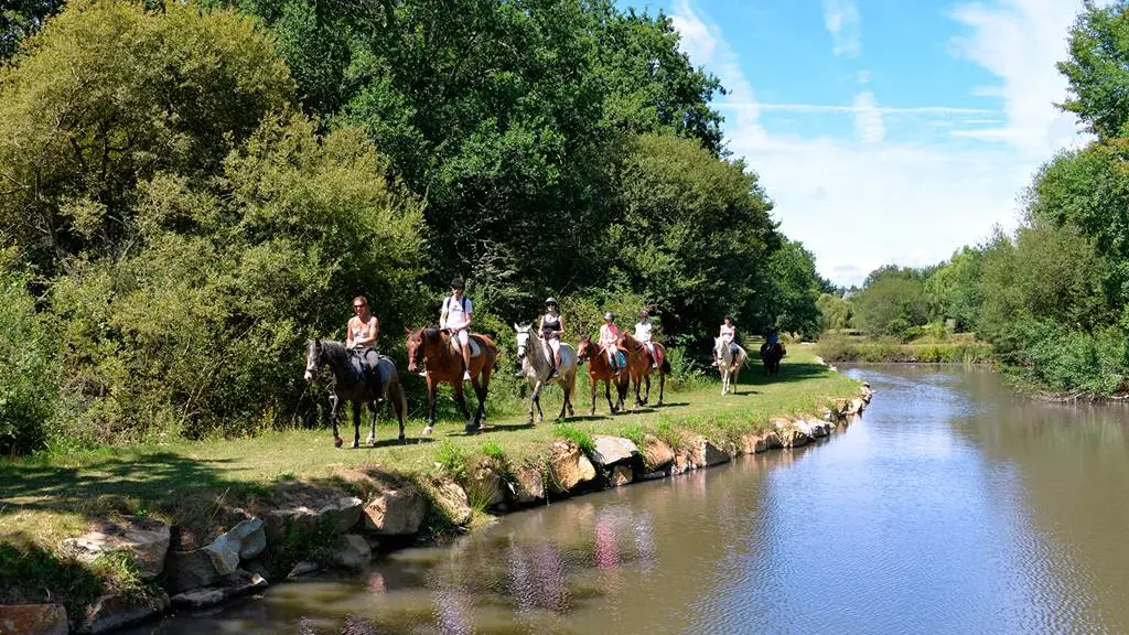 Balades à poney ou à cheval au Centre équestre sur place