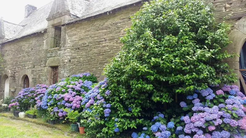 manoir de Boyac - Ploërmel - Brocéliande - Bretagne