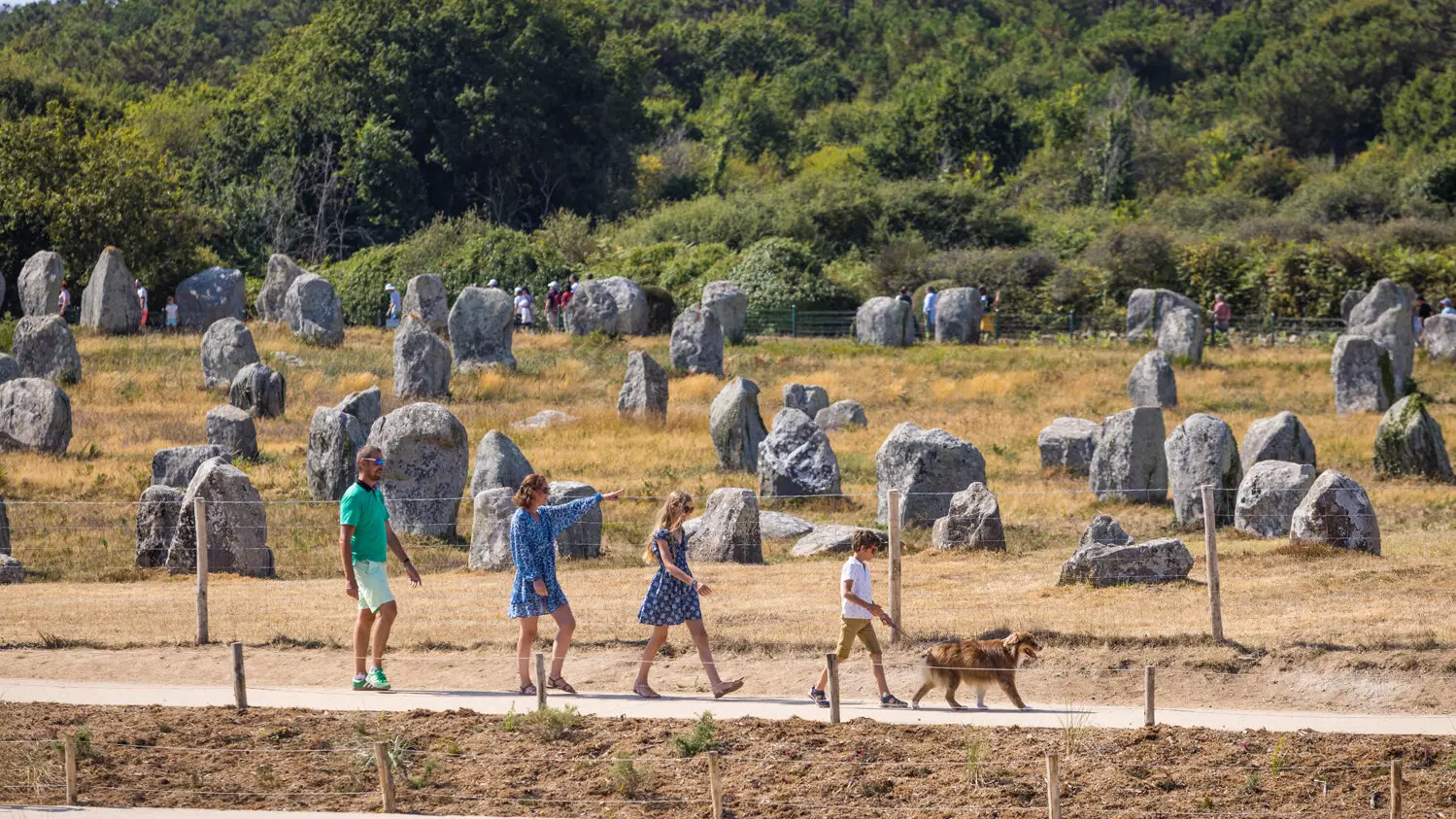 Alignements du Ménec Carnac