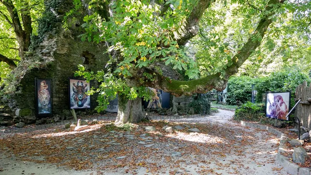 Naia Museum - Rochefort-en-Terre - Morbihan Bretagne Sud-12