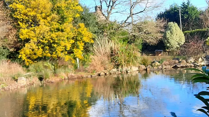 meuble-plumelin-domaine-legendes