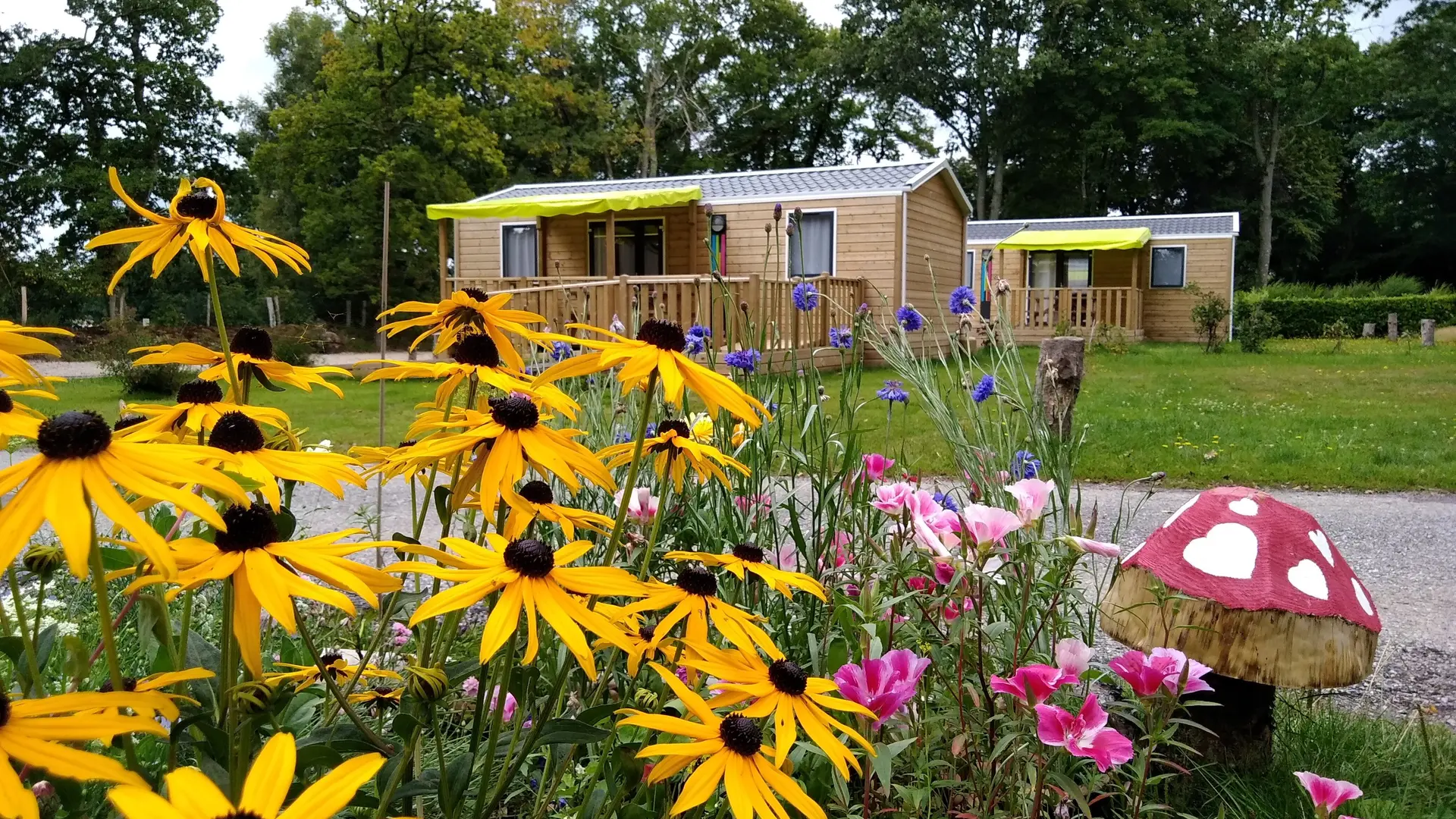 mobilhome fleurs3 ©Lac O Fees 2017