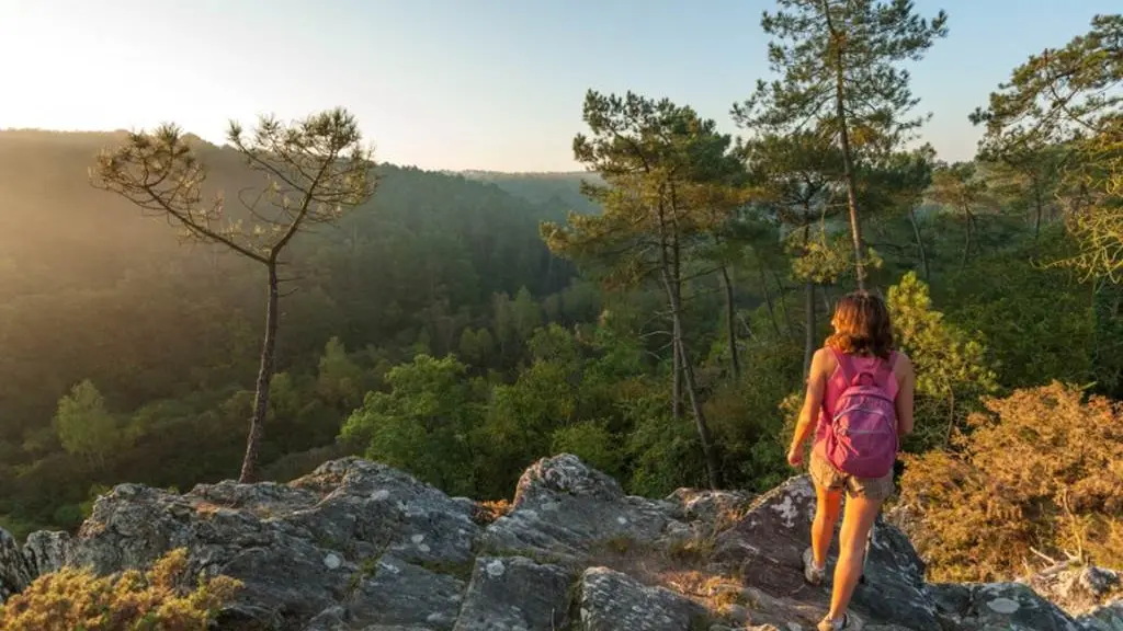 morbihan-randonnee-foret-marais-saint-dolay