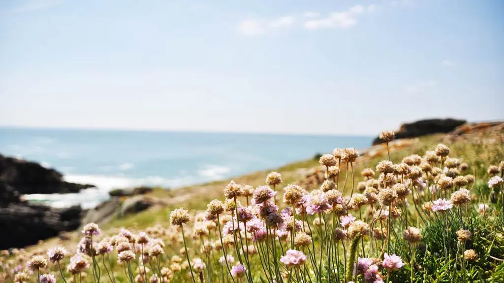 Quiberon