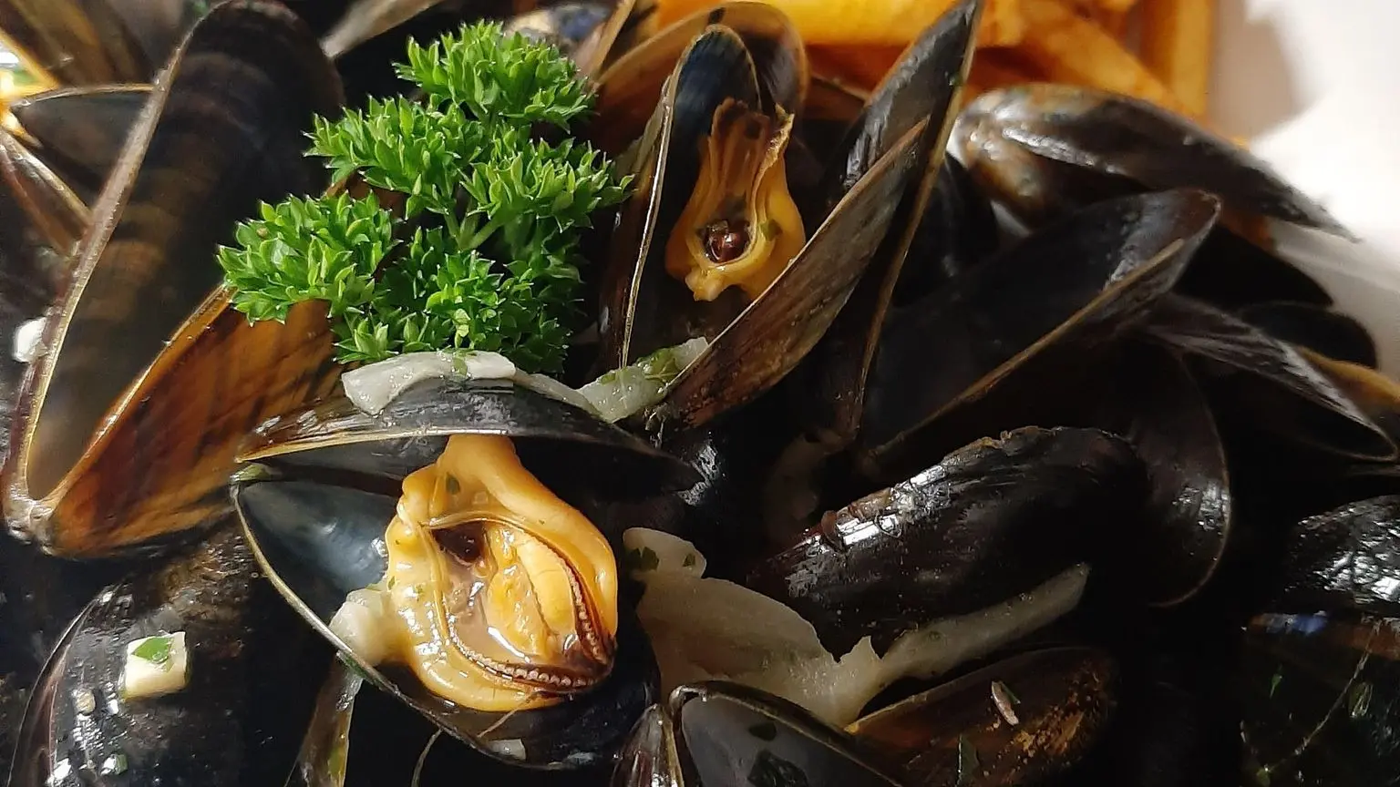 moules-frites-restaurant-brasserie-dame-de-caro-carnac