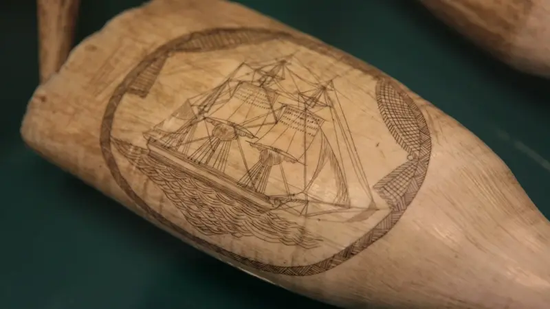 musée des sciences naturelles