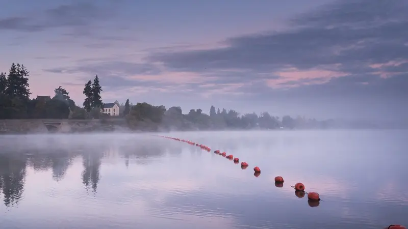 Lac au Duc - paysage - Ploërmel communauté - Brocéliande - Bretagne