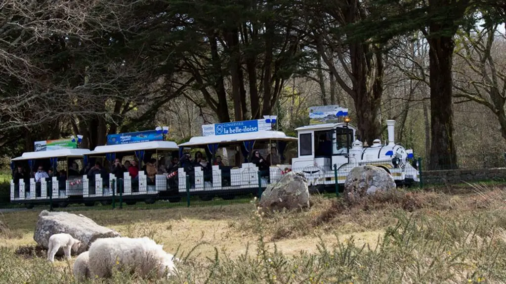 Petit-train-touristique-Carnac-Morbihan-Bretagne-Sud