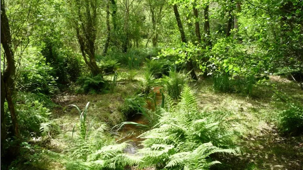 Extérieur - Pertuis du Rofo - Nivillac - Tourisme Arc Sud Bretagne