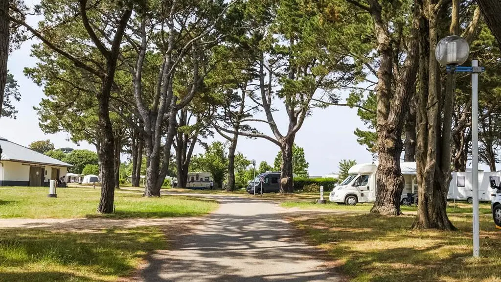 emplacements à l'ombre des pins camping Port Sable