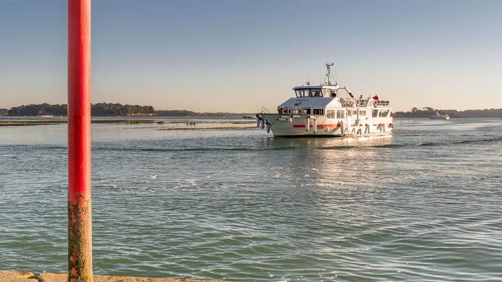 Vedettes-l'Angélus-Locmariaquer-Morbihan-Bretagne-Sud-01