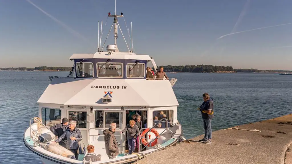 Vedettes-l'Angélus-Locmariaquer-Morbihan-Bretagne-Sud-11