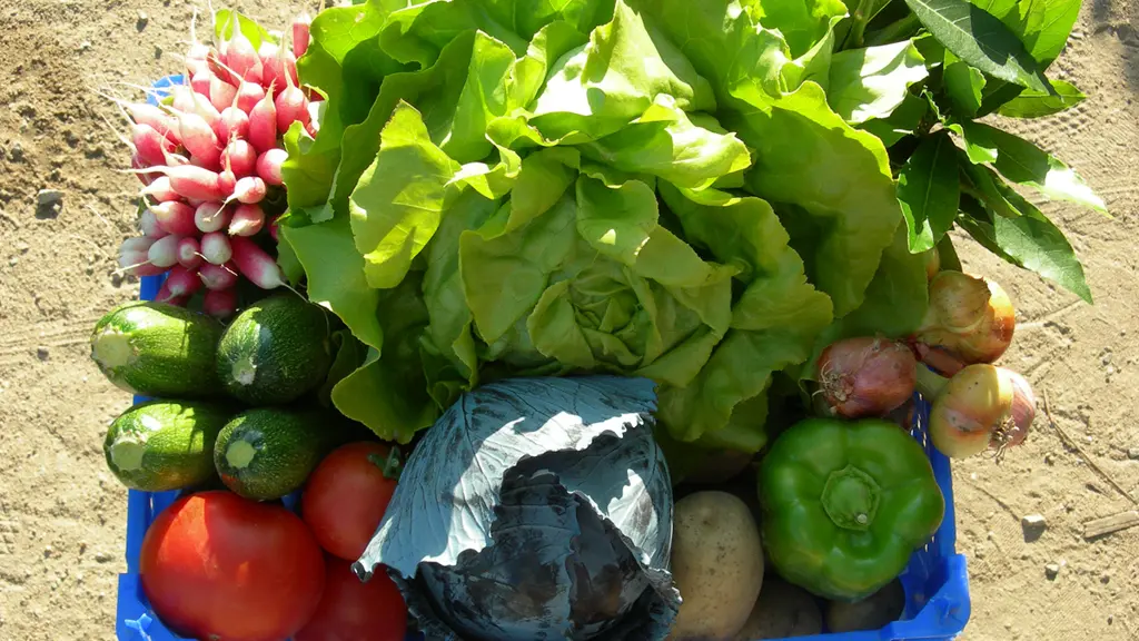 petit-potager-carnac