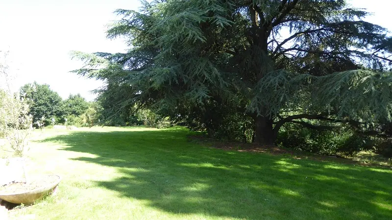 Chambre - hôtes - Domaine - Chesnaie - Josselin - Brocéliande - Bretagne