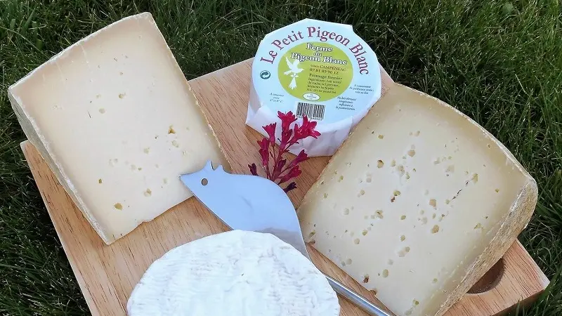 ferme du pigeon blanc - producteur - fromage - éleveur - Campénéac - brocéliande