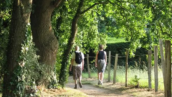 Chemin de randonnée dans la campagne arradonnaise