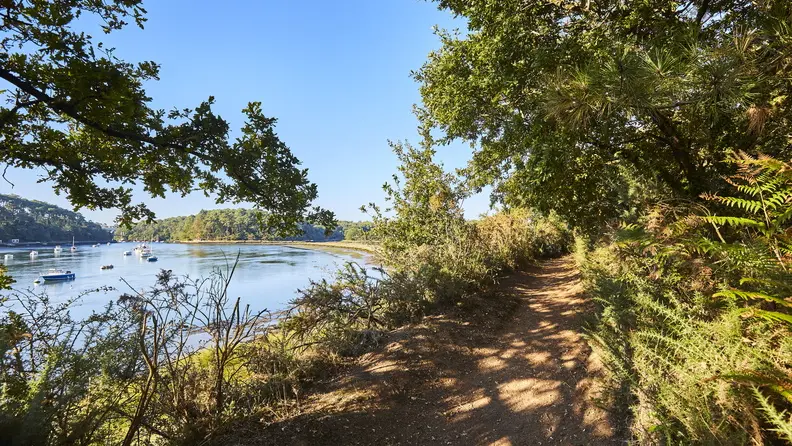 riviere-bono-sentier-cotier-pluneret_792x528