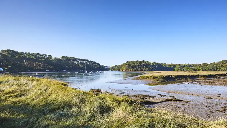 riviere-bono-pluneret_792x528