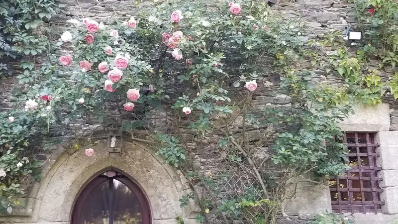 Chambre-hôtes-La-Gaudinais-Ploërmel-Destination-Brocéliande-Bretagne