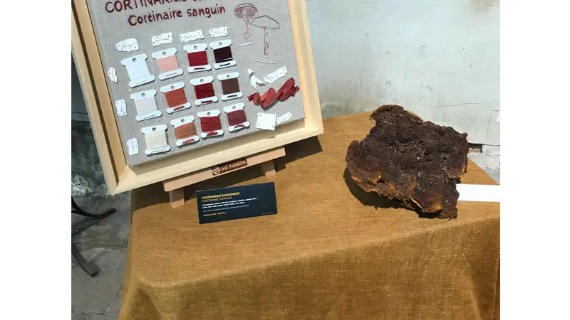 Charlène Poret - Artextiles