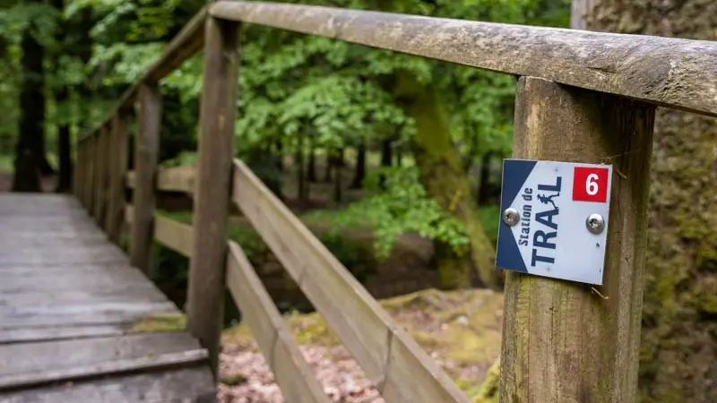 Trail en massif d'Ecouves