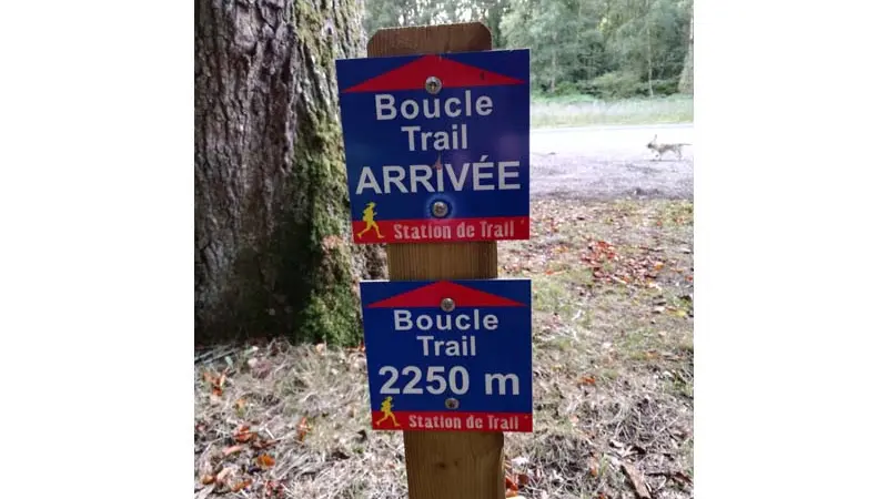 Station de trail du massif d'Ecouves