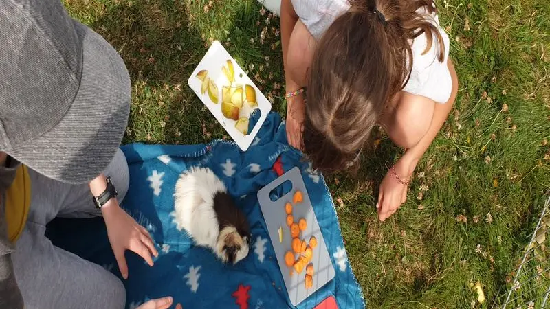 Camping-aux-Pres-d-Ecouves-radon