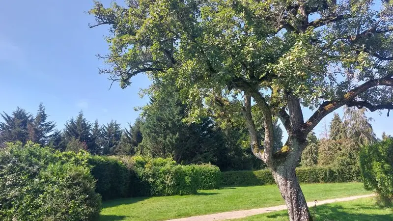 Camping-de-la-foret-Radon