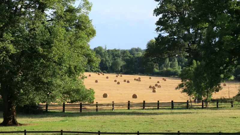 Gîtes de France La Pouprière