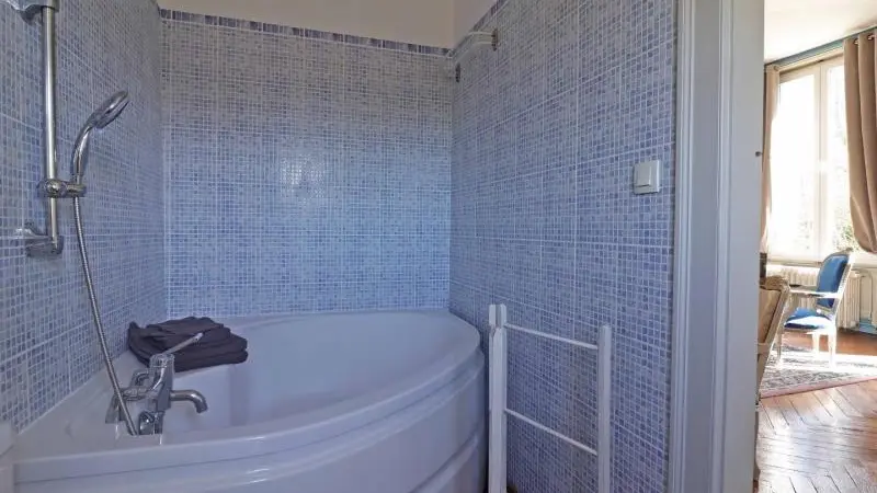 Château des Requêtes