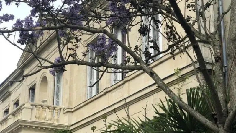 Château des Requêtes